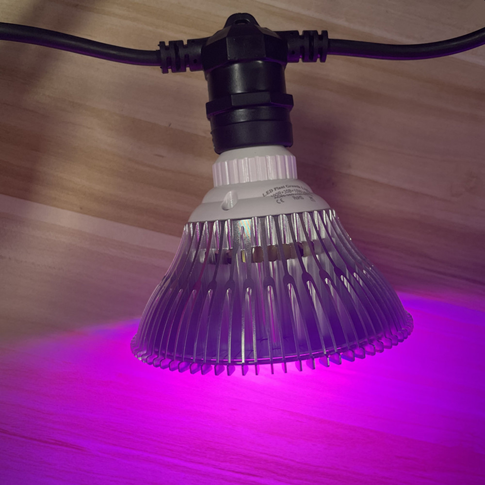 10M Cable LED String Commercia - Outdoor Lighting Cable recension och pris