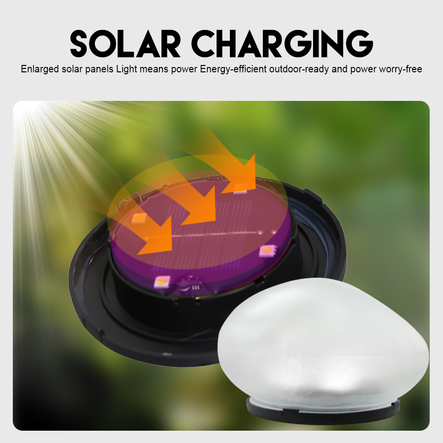 2025 NEW Philips SFL2188 LED A - Outdoor Lighting Junction Box recension och pris
